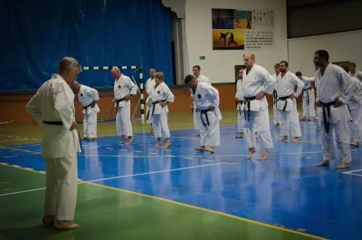 cd karate goju ryu nsk
