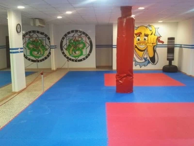 Adrenalina Martial Arts
