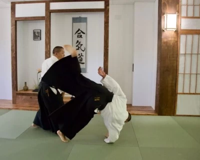 Aikido Kodokai Valladolid