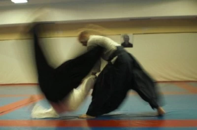 Aikido Nōgara-Juku