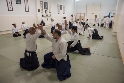 Aikido Shinsei