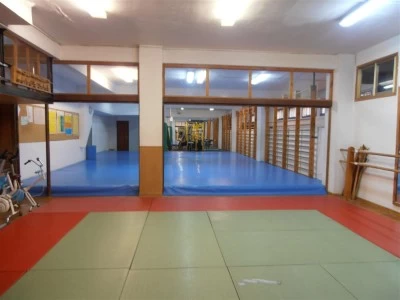 Aikido, Club Zuhaizti