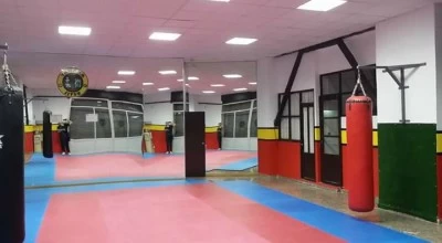 Club Fighters Yawara Jitsu