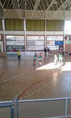 Club Handbol Bordils