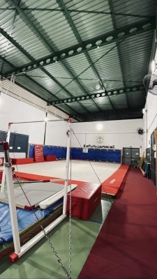 CLUB LUCENTINO DE GIMNASIA