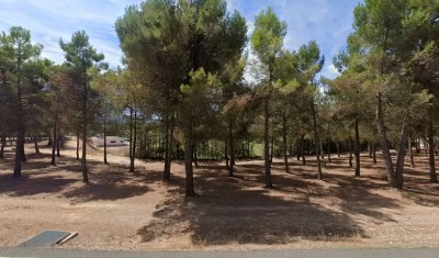 Albi CF