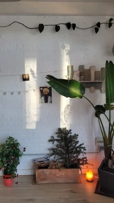 Alma Pura Yoga