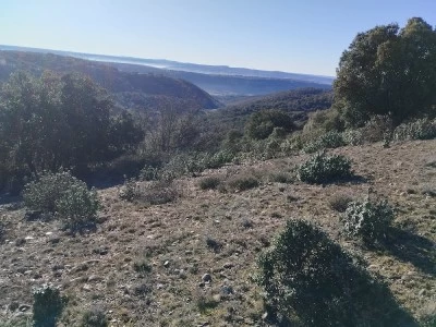 Alto Alcolea