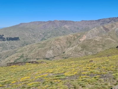 Alto del Chorrillo 2704m