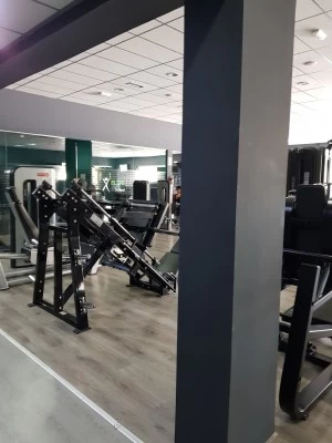 Elite Fitness