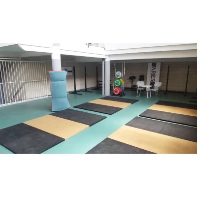 Escuela de Fuerza Aries