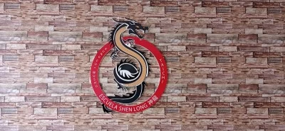 ESCUELA SHEN LONG