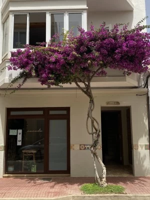 Ananda Menorca