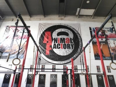 Animal Factory BOX