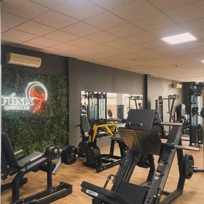 Fenix gimnasio club