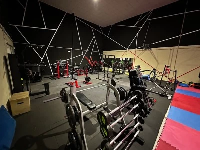 Animal Gym