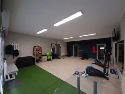 Fernando Ramírez Trainer