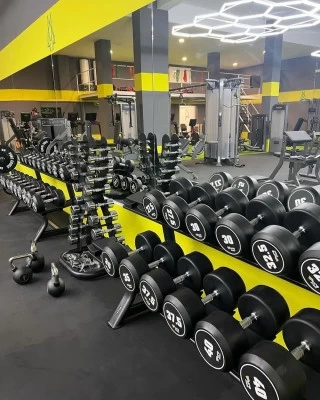 Anubis gym