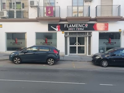Flamenco Body Form