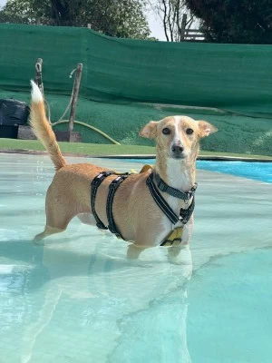 Aquapark Canino Can Jue