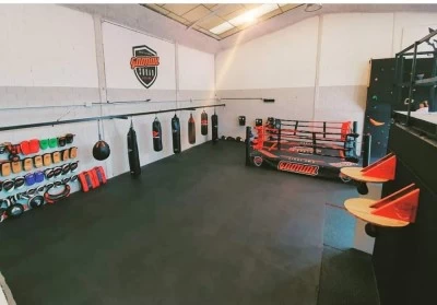 GAONAH GYM MUAYTHAI - BOXEO - CALISTENIA