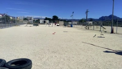 Agility Gos Muchamiel