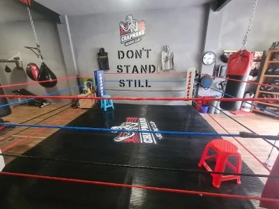 Champmans Box Club