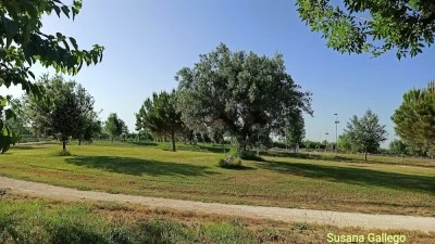 Circuits de Cross