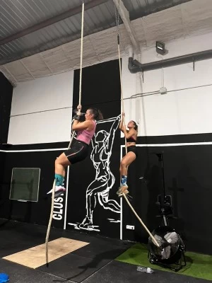CLUSTER BOX ALDAIA CROSS TRAINING