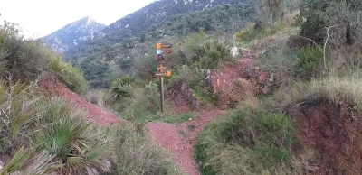 Colladet Roig