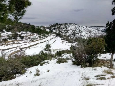 Destierro del Cid Campo de Tiro con Arco