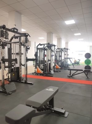 Gains Project