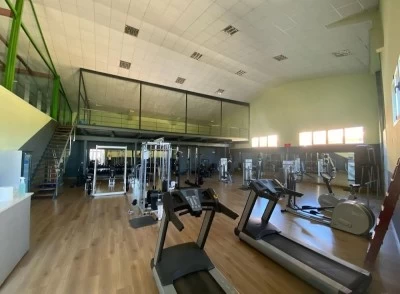 Gimnasio Palmera