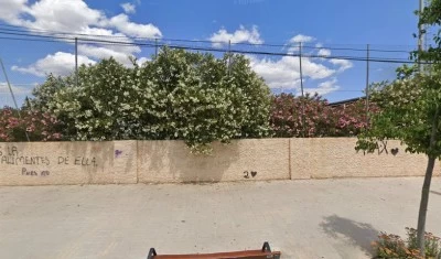 LEliana Club de Judo
