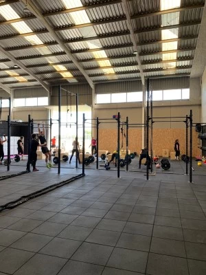 Mapache Training Club