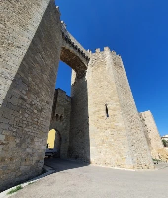 Morella Singletracks