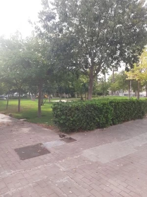 Piscina municipal de Algimia de Alfara