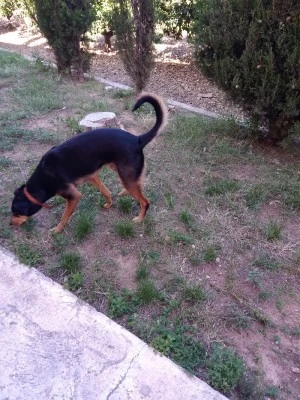Pista cubierta
