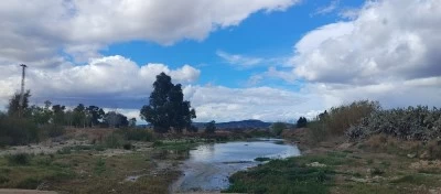 Pista de atletismo