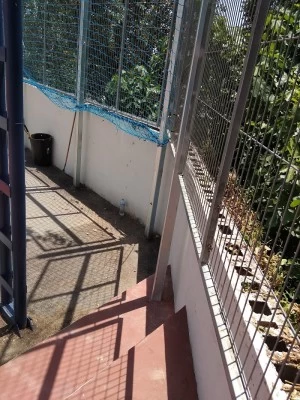 Polideportivo