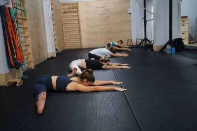 Primate Strength and Gymnastics