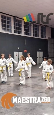 Taekwondo-Do Maestrazgo