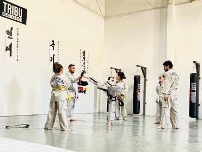 Tribu Martial Arts