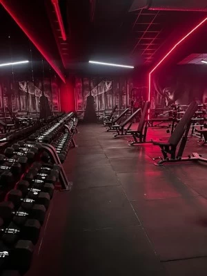 Vulture Fitness & Box