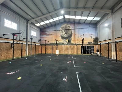 Wild Soul Crossfit El Pilar
