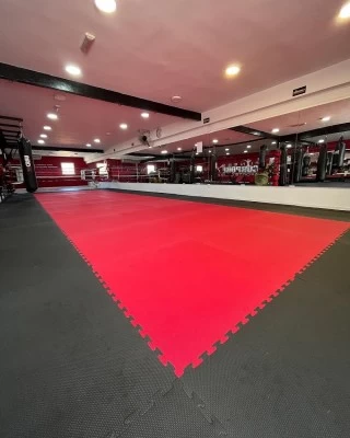 Wolves KickBoxing Club