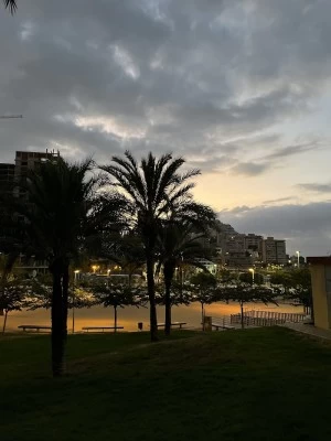 Zona de ejercicios