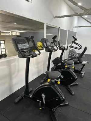 Zoo Gym